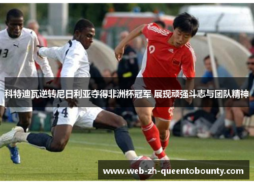 科特迪瓦逆转尼日利亚夺得非洲杯冠军 展现顽强斗志与团队精神