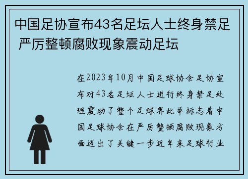 中国足协宣布43名足坛人士终身禁足 严厉整顿腐败现象震动足坛